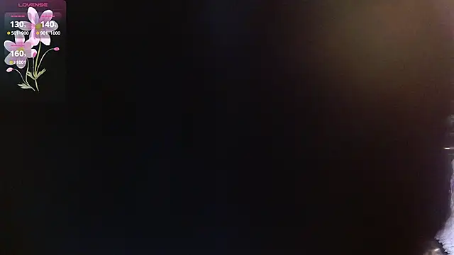 sila_bolumn Webbikameraesitys