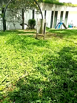 CoralSmit Webcam Show