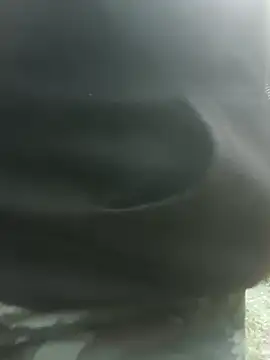 دردشة BiketravelChat الجنسية المباشرة