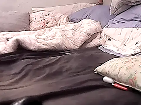 zebbi29GguyTn's Webcam Show