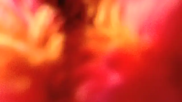 Czat XXX na żywo – rockhead1971