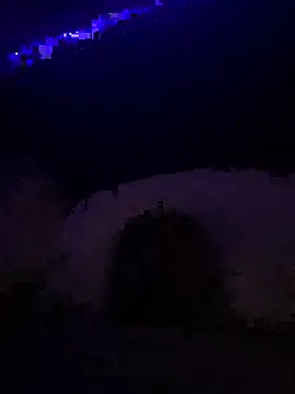 Show Webcam de AligningWalking