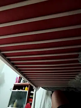 CattingSample Webcam Show