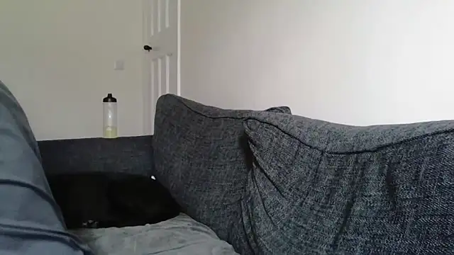 SportyBella_91's Webcam Show