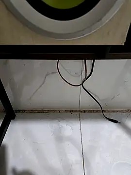 Yang_99 即時 XXX 聊天