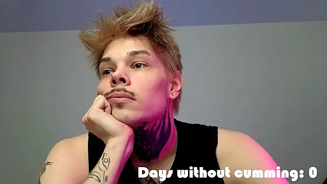 DENIS_HEREn Webbikameraesitys