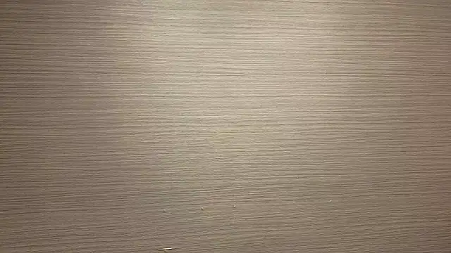 Show webcam de CHROME-kun925