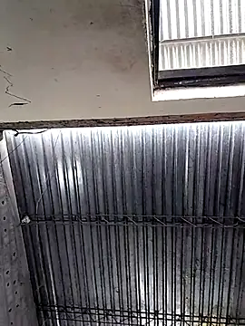 Genesis_18_'s Live XXX Chat