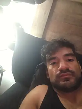 Show webcam de piggylatino