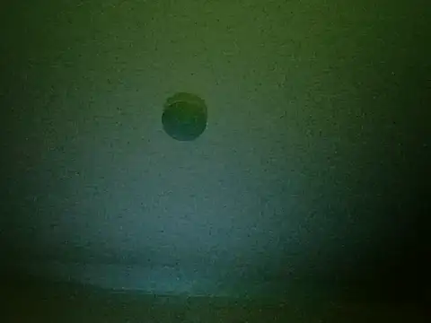 Czat XXX na żywo – Jahudka47