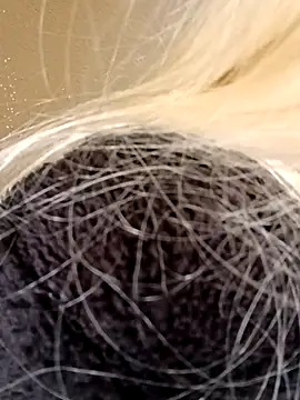 Jasmine_FullsShineのライブXXXチャット