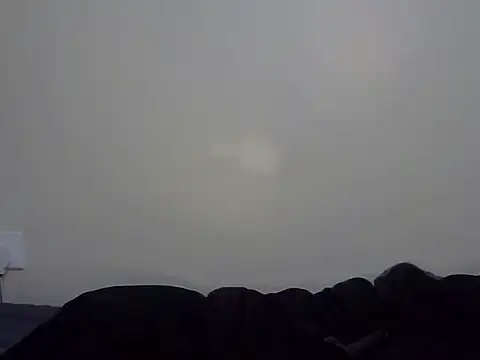 Chat XXX Live Sweettkendy