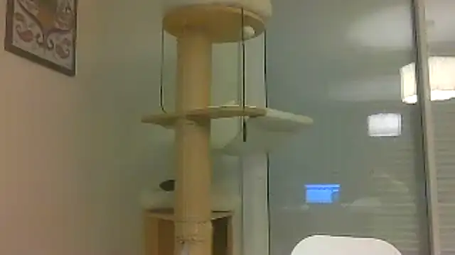 sexy007sexy Show Webcam