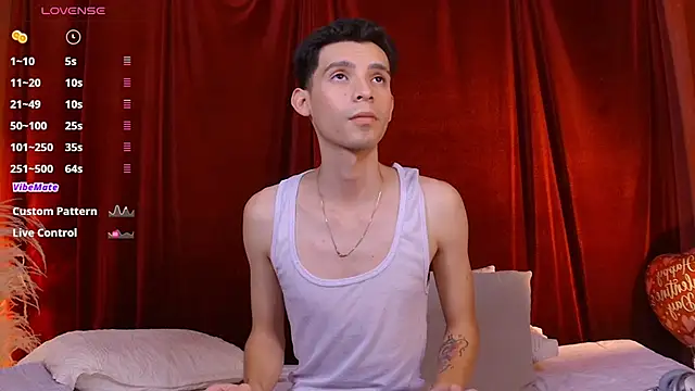 VicenteFerrer Show Webcam