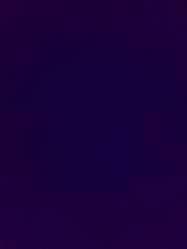 Show webcam de DevinToore