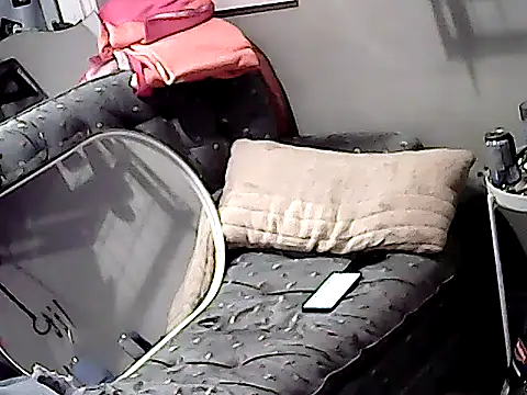 Show webcam de RootedStatus