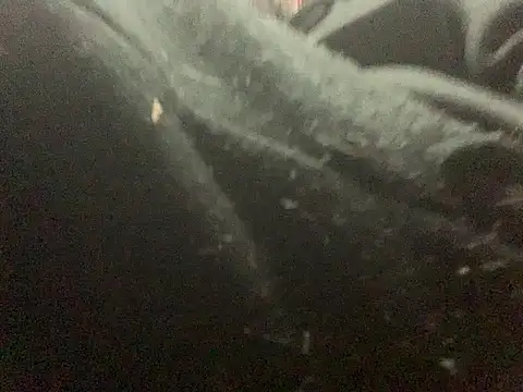 دردشة Sexgame69 الجنسية المباشرة