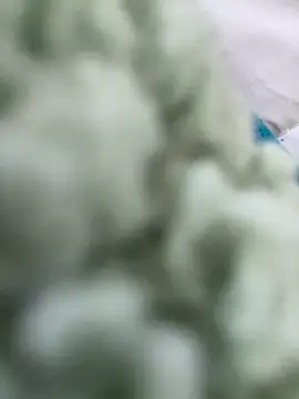 Deknkei ওয়েবক্যাম শো