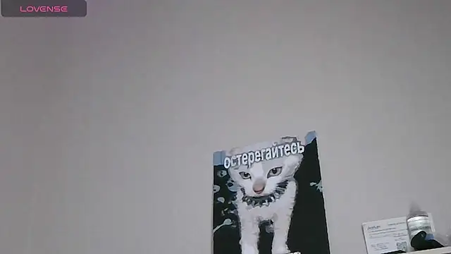 Ernest_ice's Webcam Show