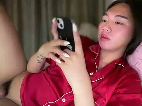 عرض كام kat_mire