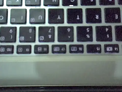 Delicious-Dのウェブカメラショー