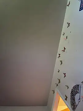 Pertunjukan Kamera Web LeBimbo