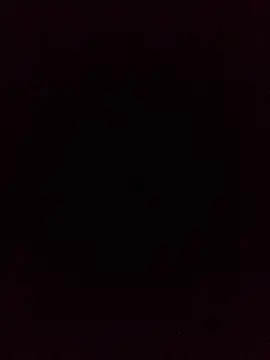 Show webcam de DevinToore