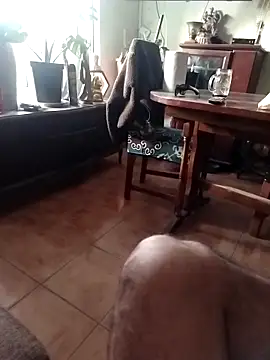 Yayo66n Webbikameraesitys