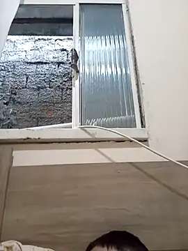 Adee21en Webbikameraesitys