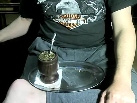 Show de OreCam na webcam