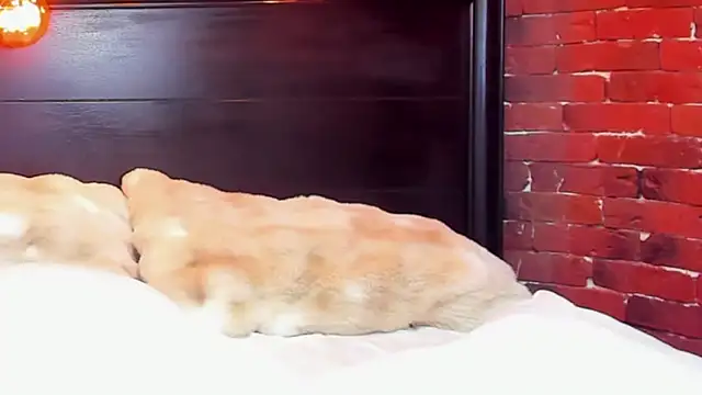 ChristynaRoss Adlı Modelin Canlı XXX Sohbeti