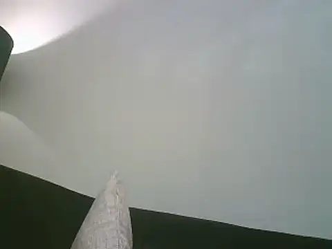 PocoLoco420 웹캠 쇼