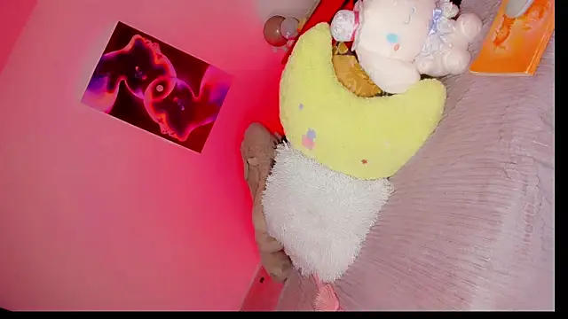 Show Webcam de delivale