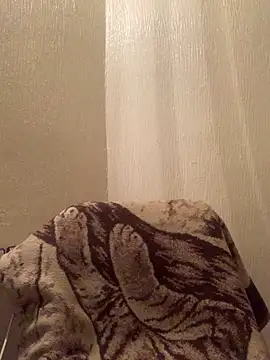 veilofstrength Chat XXX in diretta