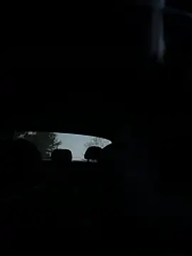 LeBimbo's Live XXX Chat