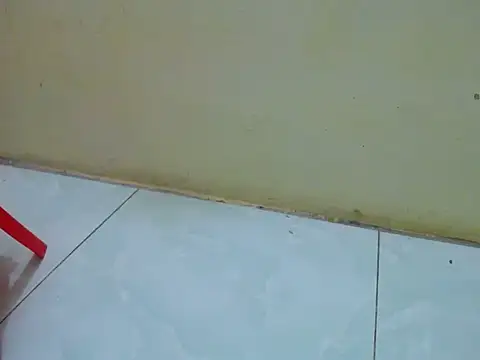 Donaa_sexy Pertunjukan Webcam