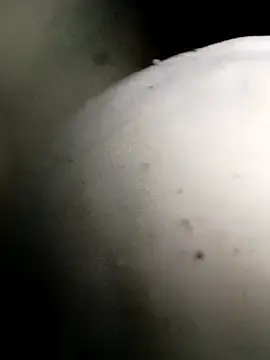 Show webcam de Bigcockmexi13