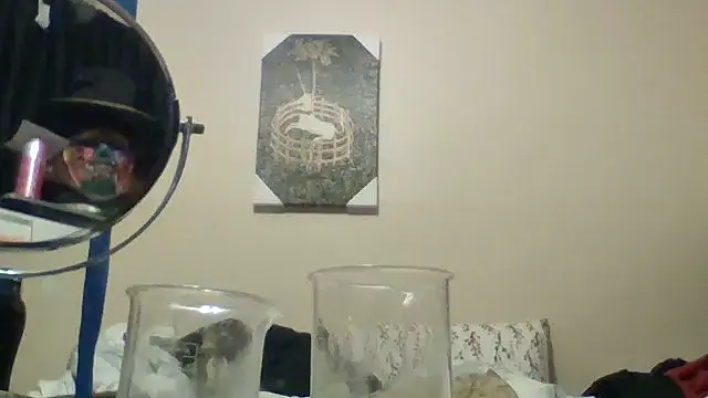 Show Webcam de hailzeffn