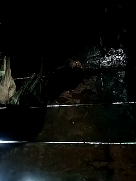 Chat +18 de Dear_baby_ ao vivo