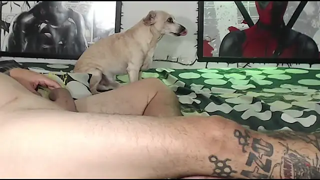 Онлайн чат XXX LoveGazoXXX