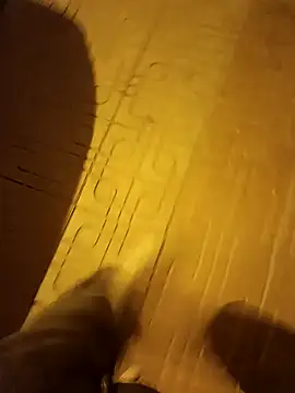 Show modela everyoneneeds na web-kameri