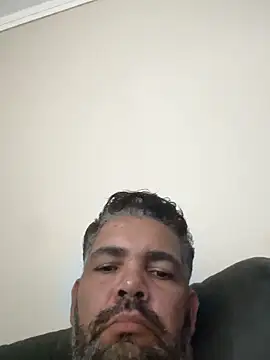 adgato 网络视讯表演