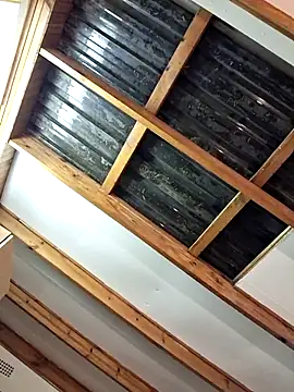 Blackforest10 Show Webcam