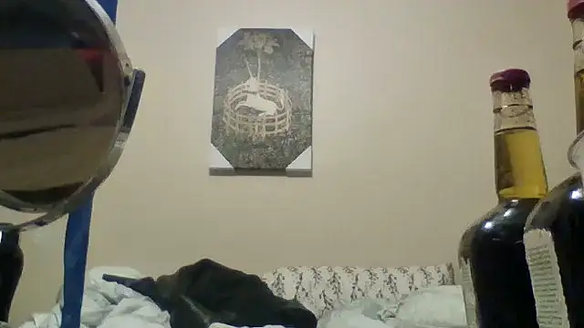 Show Webcam de hailzeffn