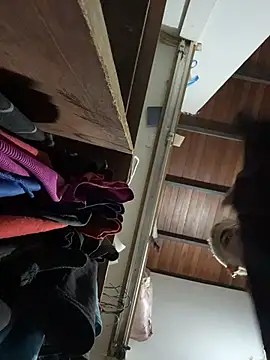 PrincesLeoのウェブカメラショー