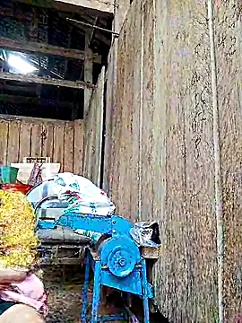 Chatroom XXX en direct de bonnie-00