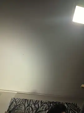 Show Webcam de piggylatino