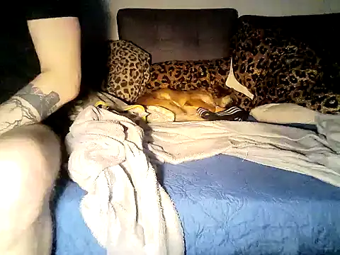 Show modela SirNefastus na web-kameri