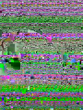 دردشة demonaughtyyy الجنسية المباشرة