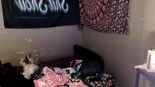 Chat XXX en directo de London_Ray